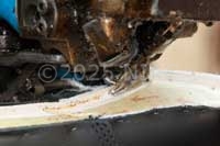 Stitching the welt to the upper and insole of Goodyear welted shoe, NPS.