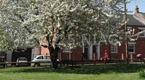 Sawpit Green, Towcester